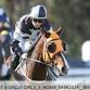 Tradies TAB Race Day event image