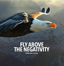 A Negative Mind Will Never Give You A Positive Life Meaning In Tamil Fly Above The Negativity Warrior Quotes Positivity Positive Quotes