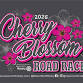Cherry Blossom Road Race 5K
