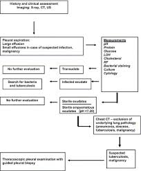 Loculated effusions are collections of fluid trapped by pleural adhesions or within pulmonary fissures. Rheumatoid Pleural Effusion Sciencedirect