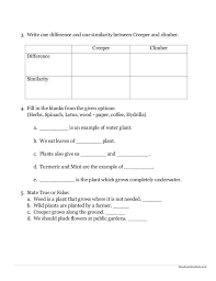 Evs worksheets, notes, video lectures for grade 3 kids. 15 Printable Evs Worksheets For Grade 2