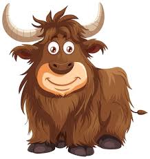 Image result for yak
