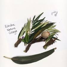 Australian Bush Kids Activity Echidna Printable Bundle Colour In Nature Play Diy Craft Digital Worksheet Home School Resource In 2021 Australia Crafts Nature Collage Art Activities For Kids
