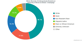 University Of Illinois At Urbana Champaign Diversity