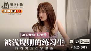 PD探花 成人专属 挑战禁忌 探索极限