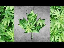 Resultado de imagen de Legalization