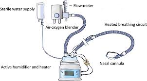 The use of nasal cannula adapted to the infant's nares size to deliver heated and humidified gas at high flow. Prospective Pilot Study For Evaluation Of High Flow Oxygen Therapy In Dyspnoeic Dogs The Hot Dog Study Pouzot Nevoret 2019 Journal Of Small Animal Practice Wiley Online Library
