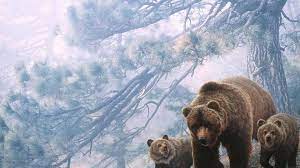 We did not find results for: Free Download Grizzly Bear Wallpaper Hd 1920x1080 For Your Desktop Mobile Tablet Explore 72 Wallpaper Of Bears Teddy Bear Wallpaper Chicago Bears Wallpaper Black Bear Wallpaper