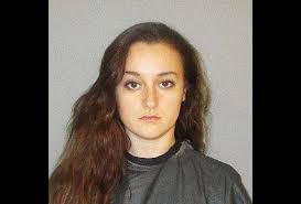 Palm Coast News Information Crime Politics Government