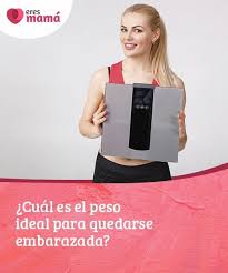 Pin En Embarazo