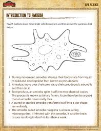 Worksheet grade 4 science for parents concerned about learning loss during the coronavirus pandemic here are some free educational activities and here you will find important content updates worksheets and information packs free for you to download please feel free to print and share these. Introduction To Amoeba View Science Worksheet Grade 4 Sod