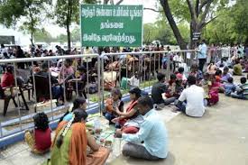 Live Chennai Vandalur Zoo Open On 16th January Vandalaur Zoo Pongal Festival Kanum Pongal Vandalaur Zoo Timings Kanum Pongal