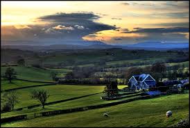 Hiraeth Word Of The Week