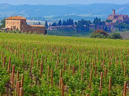 Tuscan cheese, wine and lunch from florence; Wine Tasting At Tuscany S Best Wineries Conde Nast Traveler