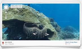 Want to use google to search and explore the underwater space? Google Maps Dives Deep Into The Ocean