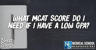 What Mcat Score Do I Need If I Have A Low Gpa Medical