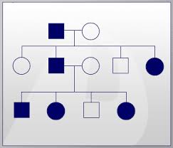 Genetics Basics Lesson 3 Modes Of Inheritance