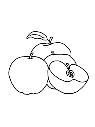 Kumpulan gambar hewan untuk anak anak tk paud belajar mewarnai. Gambar Mewarnai Buah Apel Untuk Anak Tk Sd Dan Paud