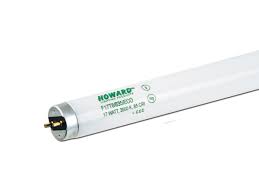 We did not find results for: T8 Lighting T8 Fluorescent Light Tube F32t8 48 Inch 32w