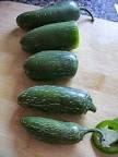 Image result for Jalapeño