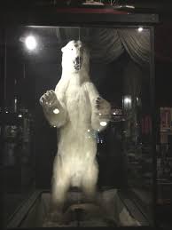 Please note that unless special arrangements are made, the hotel only operates or take the 608 freeway bridge and check out benicia? Polar Bill The Warehouse Bar Port Costa Ca Port Costa Lion Sculpture Warehouse Bar