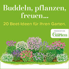 So können die samen im frühjahr ausgesät, vorgezogen und anschließend ins hochbeet gepflanzt werden. Mein Schoner Garten Tuis Facebook