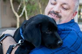 Jason Latella's Instagram, Twitter & Facebook