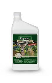 Check spelling or type a new query. The 5 Best Rabbit Repellent Products