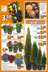 Richtigen weg finden und die. Globus Baumarkt Aktueller Prospekt 09 03 14 03 2020 4 Jedewoche Rabatte De