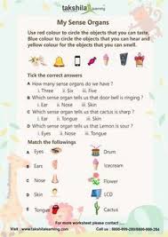 Worksheets For Class 1 Evs Ncert Cbse Best Class 1 Worksheets Worksheets For Class 1 Worksheet For Class 2 2nd Grade Reading Worksheets