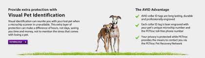 Avid designs, manufactures and distributes it's own patented pet microchips and microchip scanners and reunites lost pets by operating pettrac, the official pet recovery service for avid microchips. Visual Pet Identification Avid Identification Systems Inc