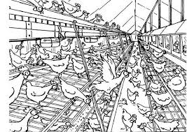 Like these 8×10 chicken coop plans? Big Chicken Coop Coloring Pages Netart Biggest Chicken Chicken Coop Coloring Pages