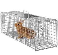 Amazon.com: ZENY Jaula de acero para animales vivos, jaula ...