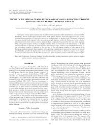 Image result for Rutidea fuscescens