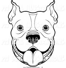 Draw a curved line down the center of the far ear. Pitbull Face Drawing At Paintingvalley Com Explore Collection Of Pitbull Face Drawing