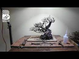 Project 19 Membuat Bonsai Aquascape Simple Youtube Aquascape Bonsai Hardscape