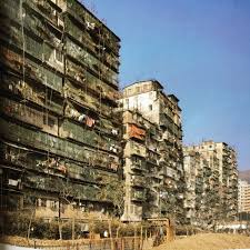 香港 Google Search