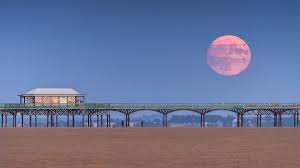 Mayseeds leaks i habitually still stayed in touch with a