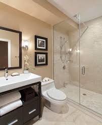 Glass Shower Door Transitional Bathroom Design Small Bathroom Remodel Bathroom Remodel Master