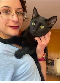 Lost black cat named Bagheera near Carmel and Indian Wells