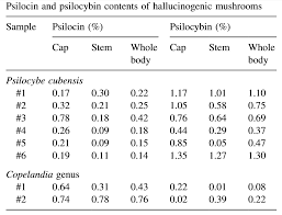 Psilocybe Cubensis Gold Cap Mushroom Information Shroomology