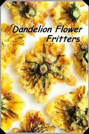 Edible Flowers Foraged Dandelion Blossoms I Like Dandelion Blossoms Mixed With Onions In Liver Foraging Recipes Dandelion Recipes Edible Flowers Recipes