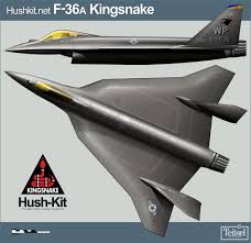 The delivery of the first two aircraft is. The F 36 Kingsnake The Fifth Generation Minus Fighter Usaf Wants Hush Kit