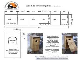 Plans for constructing a single or double wood duck house. Friends Of Fort Erie S Creeks