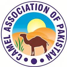 Descriptions about its taste vary. Camel Milk Pasteurization To Preserve The Wonder Camel Association Of Pakistan Cap