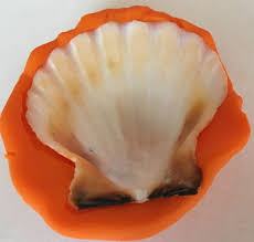 Ask your class to create their own clay version of the ammonite, a marine invertebrate which became extinct 65m years ago. Fossil Castings With Glue Inventors Of Tomorrow