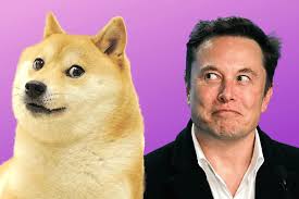 The billionaire tweeted cryptocurrency is promising, but please invest with dogecoin up by nearly 4% following elon musk's tweet. Elon Musk Reminds All To Invest In Doge With Caution Supercryptonews