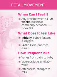 Image result for Fetal Movement Count