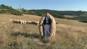 0756 707 213 recording & video. Doinel Handorean Dragi Mi S Oile Si Cainii