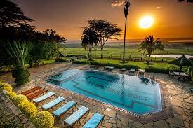 There are about 450 species of. Lake Nakuru Lodge Bewertungen Fotos Preisvergleich Lake Nakuru National Park Kenia Tripadvisor